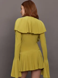 Long Sleeve Deep V Ruffle Mini Dress