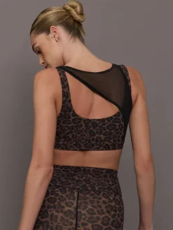 Mesh Overlay Bra in Melt
