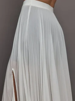 Mesh Pleated Skirt