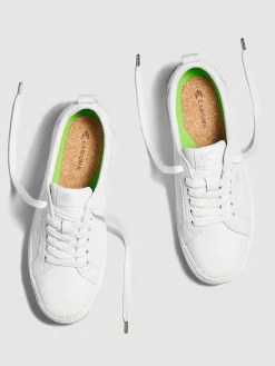 Oca Low